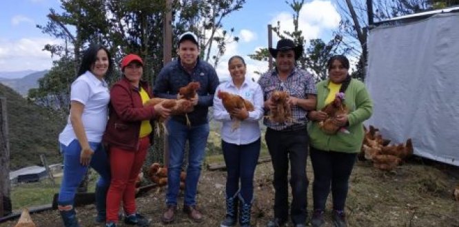 Alcaldía de Bogotá lanza proyecto piloto de “Avicultura Ecológica” que beneficia a más de 80 familias en zona rural Alcaldía de Bogotá lanza proyecto piloto de “Avicultura Ecológica” que beneficia a más de 80 familias en zona rural