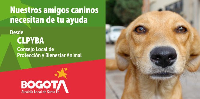 La Alcaldía local de Santa Fe y el Consejo Local de Protección y bienestar Animal CLPYBA La Alcaldía local de Santa Fe y el Consejo Local de Protección y bienestar Animal CLPYBA