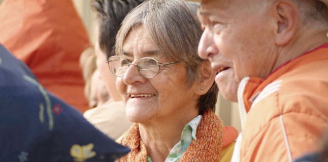 Información importante sobre los subsidios para adultos mayores Información importante sobre los subsidios para adultos mayores