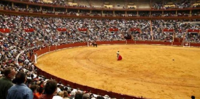 Distrito toma medidas para garantizar convivencia pacífica en temporada taurina