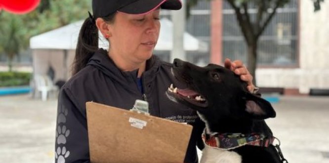 Santa Fe elige a sus delegados y delegadas para el Consejo Local de Protección y Bienestar Animal 2026–2030. El nuevo consejo garantiza la representación activa de colectivos, organizaciones animalistas, comunidad en general y del sector rural de la localidad.