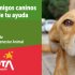 La Alcaldía local de Santa Fe y  el Consejo Local de Protección y bienestar Animal CLPYBA